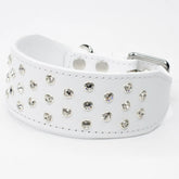 Crystal Clarity Luxury Whippet by Petiquette